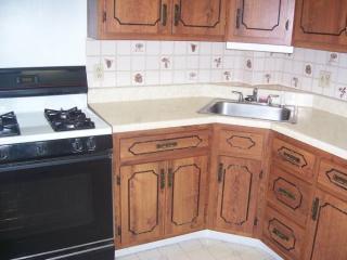 1515 Negley Ave, Pittsburgh PA  15217-1419 exterior