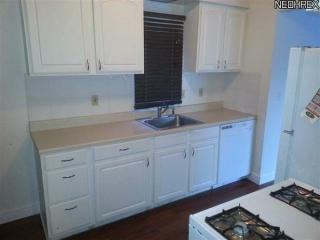 17422 Cannon Ave, Cleveland OH  44107-2202 exterior