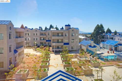 535 Pierce St, Berkeley CA 94706-1000 exterior