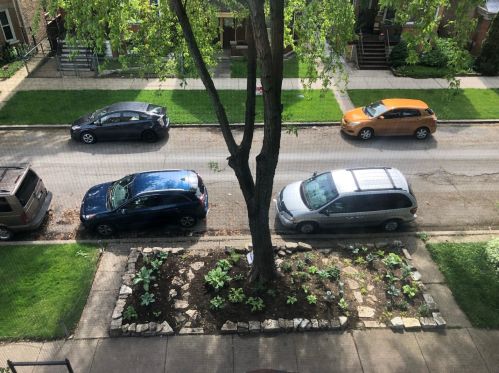 3244 Monticello Ave, Chicago IL 60618-6614 exterior