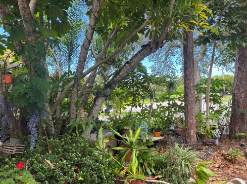 1485 Rivergreen Cir, Fort Pierce FL  34952-4130 exterior