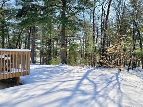 9 Haskins Rd, Windsor CT 06095-4768 exterior