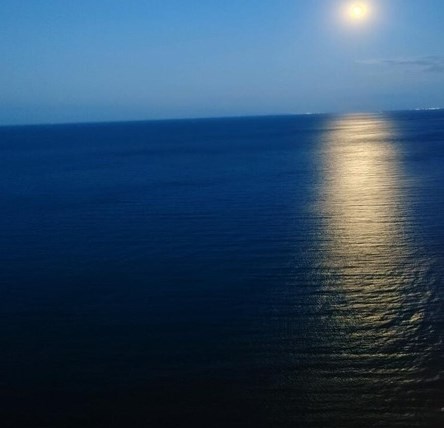 6145 Sheridan Rd, Chicago IL 60660-4057 exterior