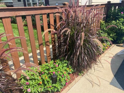 4445 Major Ave, Chicago IL 60634-5215 exterior