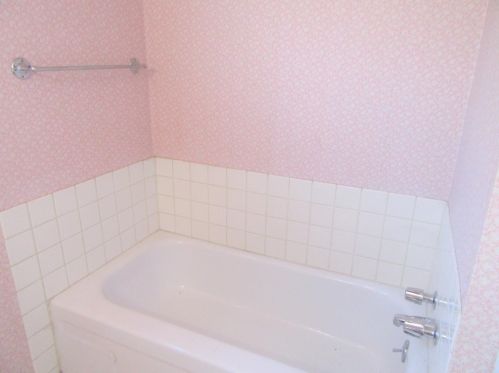 103 Rugosa Dr, Folsom CA 95630-2919 exterior