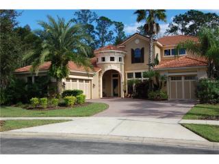 17303 Emerald Chase Dr, Tampa FL  33647-3516 exterior