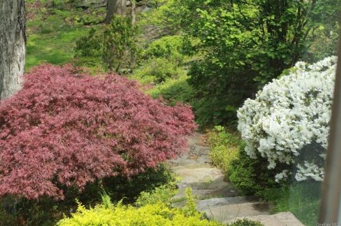 5 Fox Run, Armonk NY 10504-1011 exterior