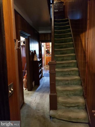 509 Quincy St, Washington, DC 20011-5931