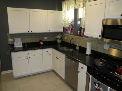 2032 10 Ave, Broadview IL 60153-1924 exterior