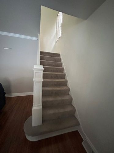 1228 Bellaire Pl, Pittsburgh PA  15226-1828 exterior