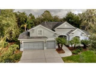 15810 Sorawater Dr, Lithia, FL 33547-3910