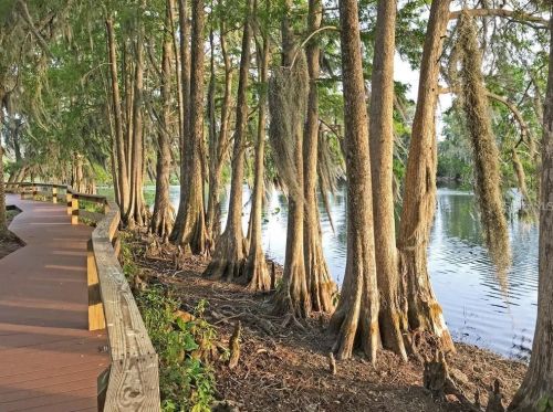 527 Broxburn Ave, Tampa FL  33617-7823 exterior