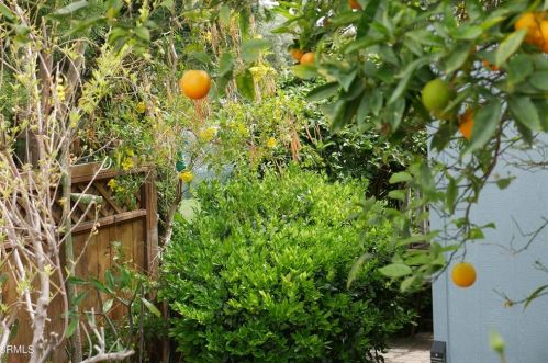 481 Raspberry Pl, Oxnard CA 93036-1526 exterior