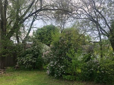 3047 Highgate Ave, Wyoming MI 49509-2901 exterior