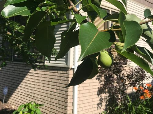 1299 Blair Ave, Saint Paul MN 55104-2008 exterior