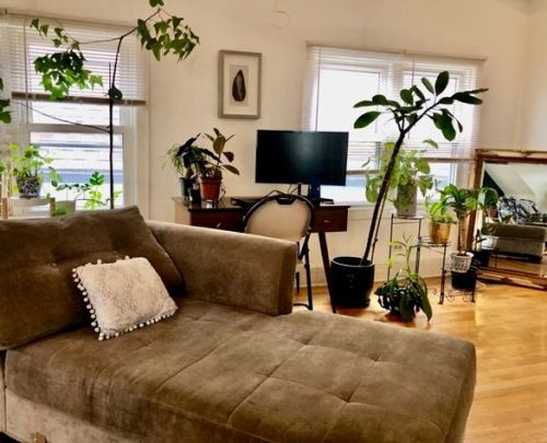 4851 Ainslie St, Chicago IL 60706-3414 exterior