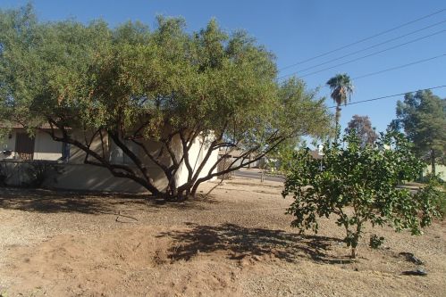 13631 35th St, Phoenix AZ  85032-6140 exterior