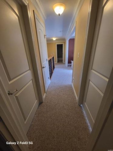 1 Crabapple Ct, Saint Louis MO 63132-3422 exterior