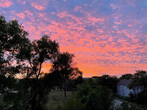 1816 Spaulding Ave, Chicago IL  60647-9530 exterior