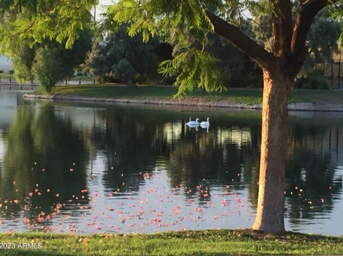 2644 Desert Cove Ave, Phoenix AZ  85029-4402 exterior