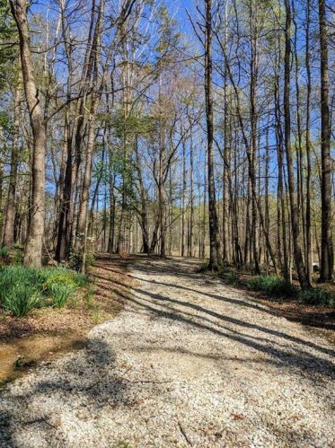 5081 Ponderosa Farm Rd, Gainesville GA 30507-8760 exterior