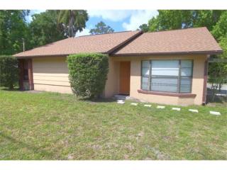 14518 Berkford Ave, Tampa, FL 33625-2440