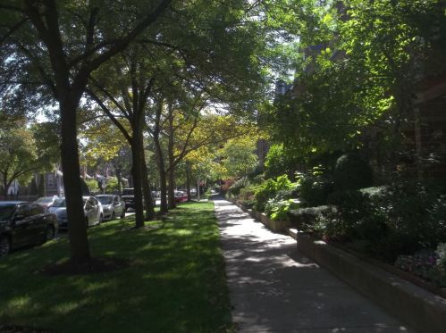 5326 Ingleside Ave, Chicago IL  60615-4310 exterior