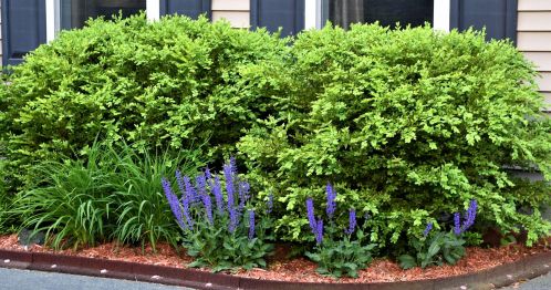 2 Penacook St, Concord NH 03301-3105 exterior