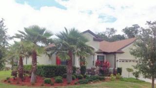 20008 Outpost Point Dr, Tampa FL  33647-3560 exterior