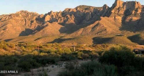 11656 Silverwood Dr, Tucson AZ 85739-1003 exterior