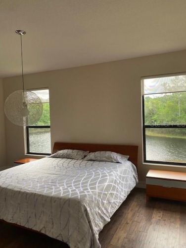 20323 Chestnut Grove Dr, Tampa FL  33647-3345 exterior