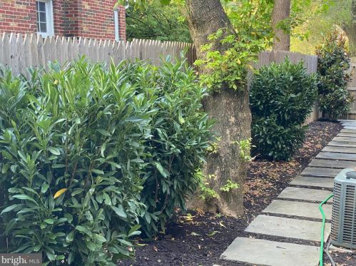 7426 Piney Branch Rd, Silver Spring MD 20901-4352 exterior