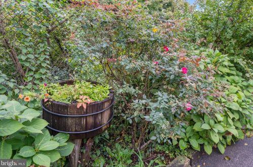 4257 Boone St, Philadelphia PA 19128-5003 exterior