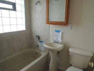 258 46th Pl, Chicago IL  60609-3911 exterior