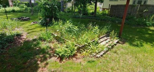 53 Poquonock Ave, Windsor CT  06095-2508 exterior