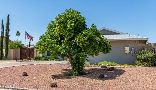 3732 Crocus Dr, Phoenix AZ 85053-5316 exterior