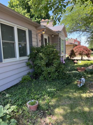 304 Espanola Ave, Kalamazoo MI  49004-1104 exterior