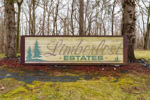 17290 Limberlost Rd, Three Rivers, MI 49093-8320