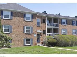 2222 Glouchester Dr, Cleveland OH  44124-4011 exterior