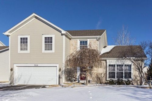 7329 Atkinson Cir, Plainfield, IL 60586-6193