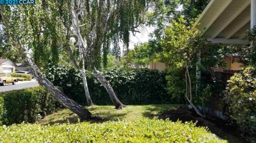 3113 Claudia Dr, Concord, CA 94519-2130
