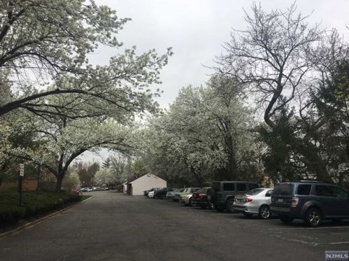 7 Millay Ct, Teaneck NJ 07666-6485 exterior