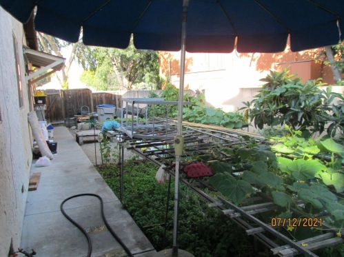 457 Capitol Ave, San Jose CA  95127-1938 exterior