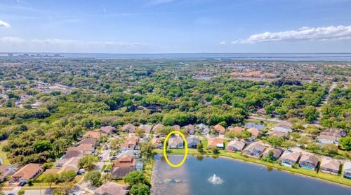 10041 Oasis Palm Dr, Tampa FL 33615-2779 exterior