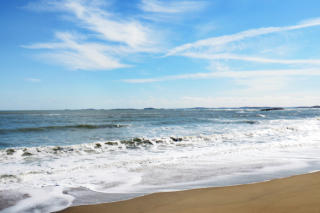 59 Grovers Ave, Winthrop, MA 02152-1014