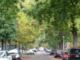 7023 Dartmouth Ave, Saint Louis MO  63130-2315 exterior