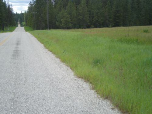 3254 Jump Off Rd, Valley, WA 99181-9625