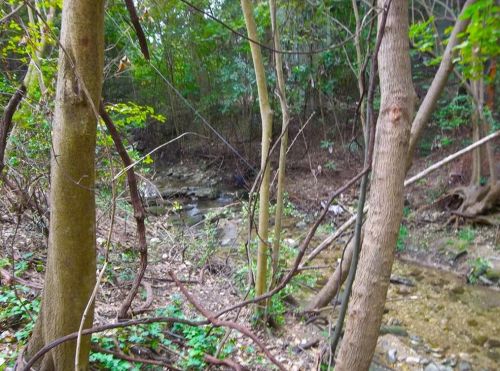 2302 Alta Vis Ave, Austin TX 78704-5227 exterior