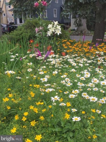 13 Ogden Ave, Camden NJ 08108-2016 exterior