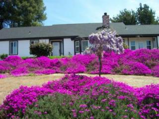 1462 Via Encinos Dr, Fallbrook, CA 92028-9303